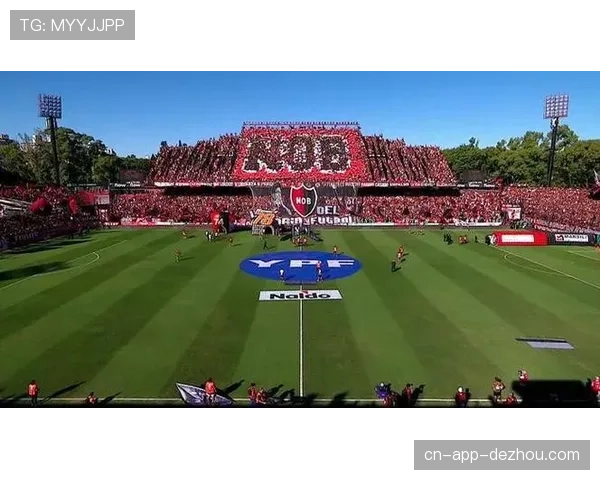 欧冠花絮:那不勒斯主场球迷巨型TIFO致敬已故传奇马拉多纳 欧冠花絮:那不勒斯主场球迷巨型TIFO致敬已故传奇马拉多纳